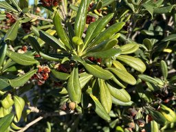 201-10-01-2026 IMG_3398